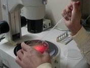 北京家恩德运医院做三代试管婴儿成功率高不高？什么因素可以影响到试管成功率