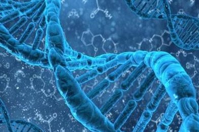 烟台毓璜顶医院试管婴儿是第几代？哪一代比较好？