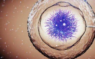 2026北京试管婴儿生二胎费用大概需要多少？