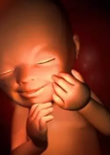 泰国哪里有三代试管婴儿？揭秘Top5医院