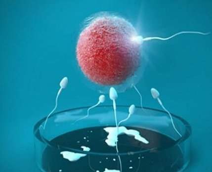 2026诸暨市最新男性陪产假有多少天？试管婴儿可以增加产假吗？